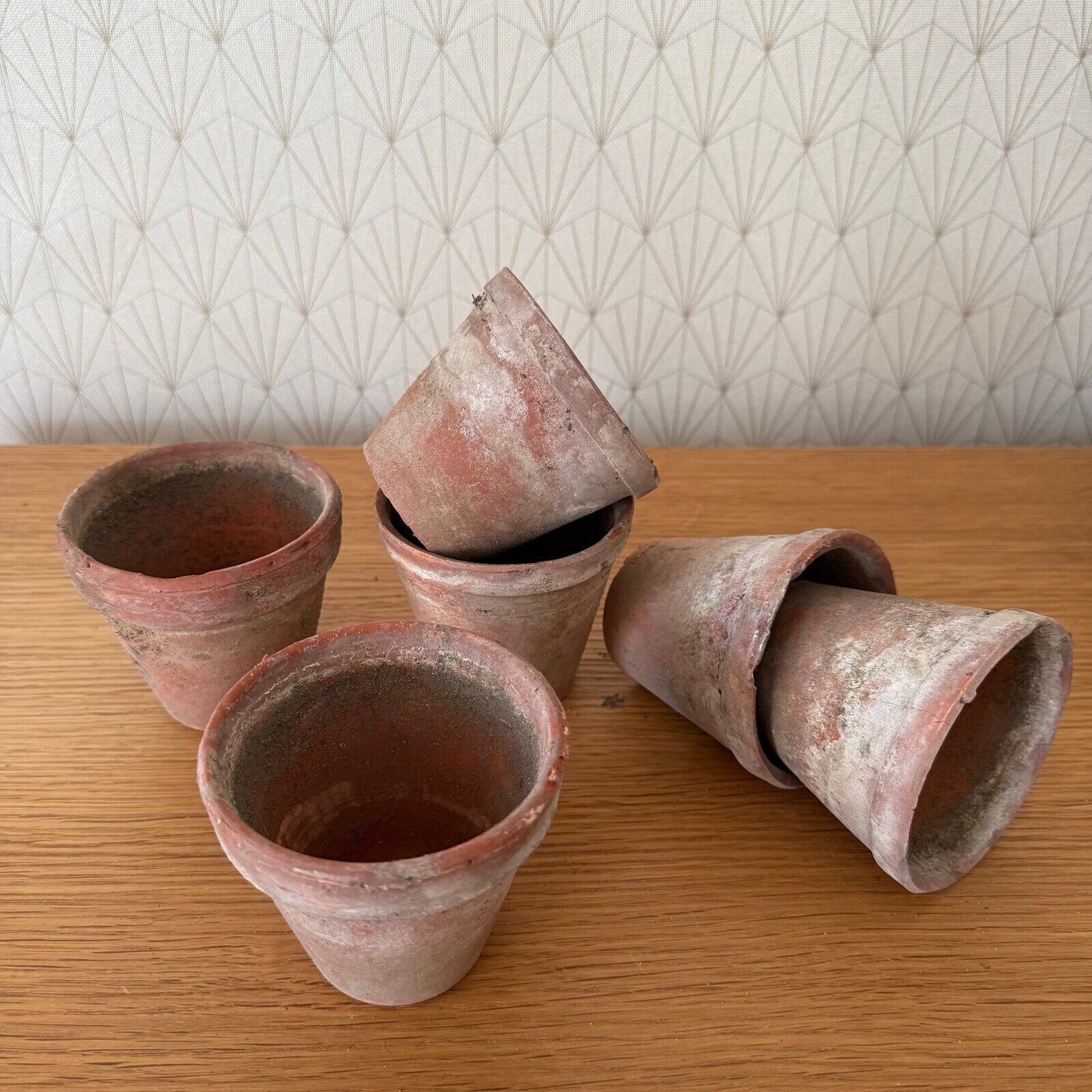 Vintage French Lot of 6 Terracotta Pots Planter 1102259 - Fleamarketfrance