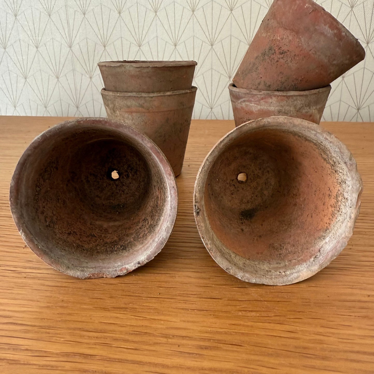 Vintage French Lot of 6 Terracotta Pots Planter 1206251