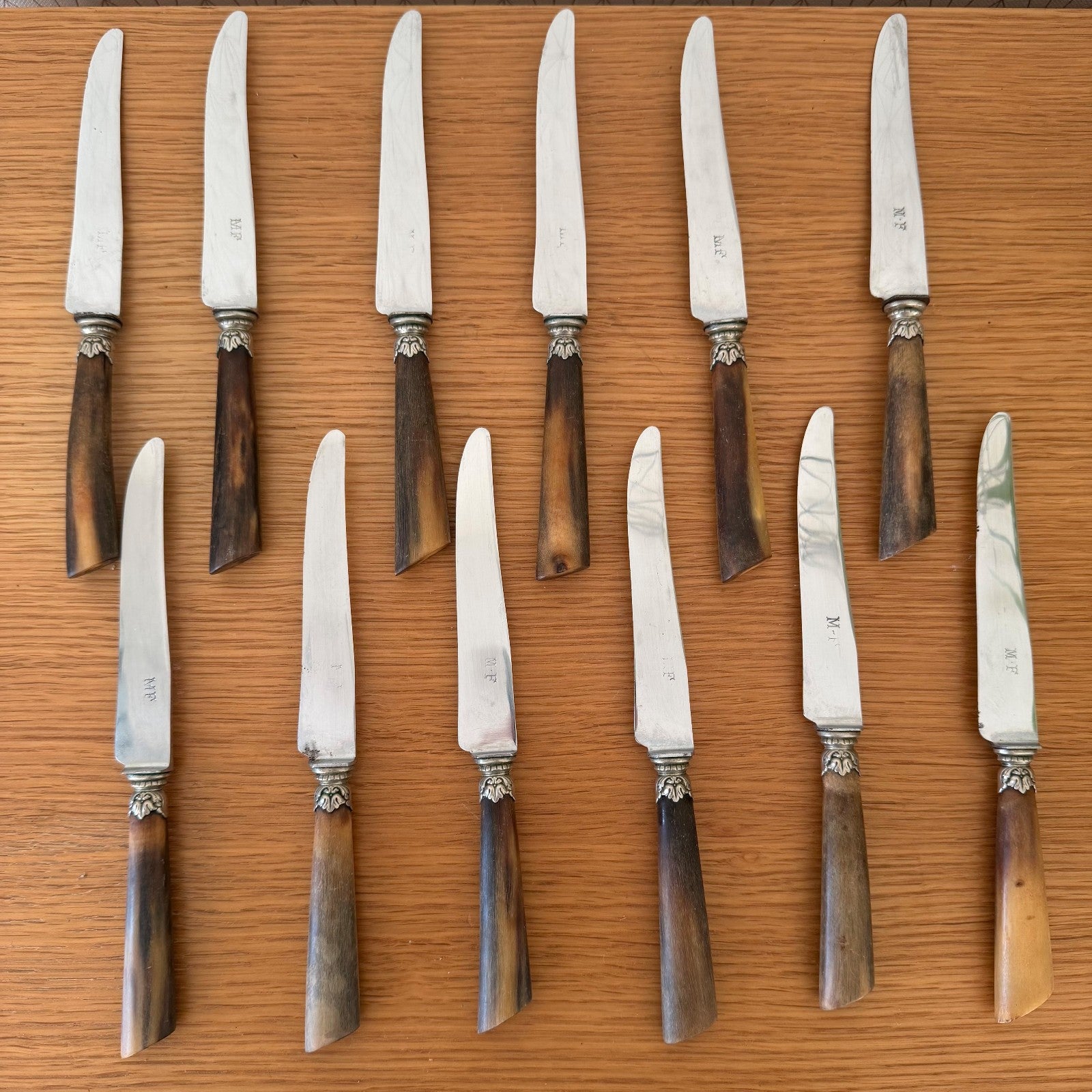 Antique French Dinner Steak Knives Horn Handles Silver Collar 12pcs 0302267 Unbranded