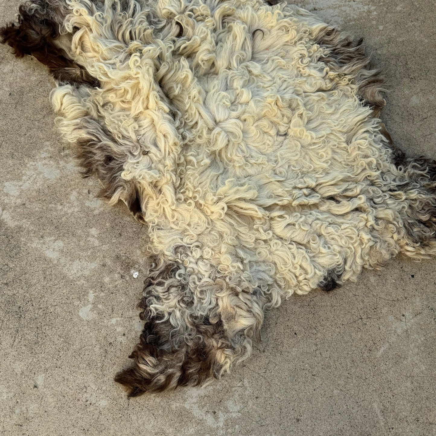 French Sheepskin Rug Curly Wool Vintage Natural Fleece Pelt 02082411 Fleamarketfrance