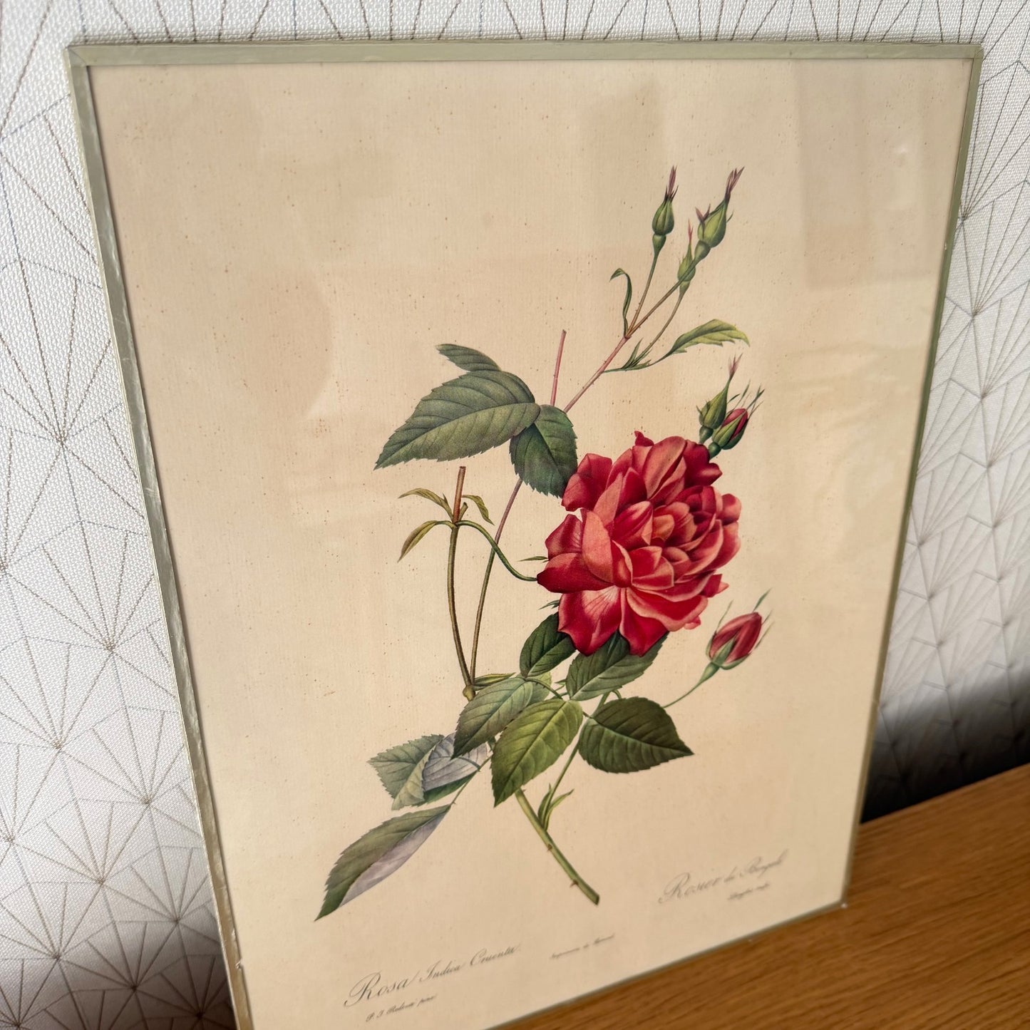 French Botanical Print Rose Redoute Style Lithograph Framed Vintage 1012253 no brand