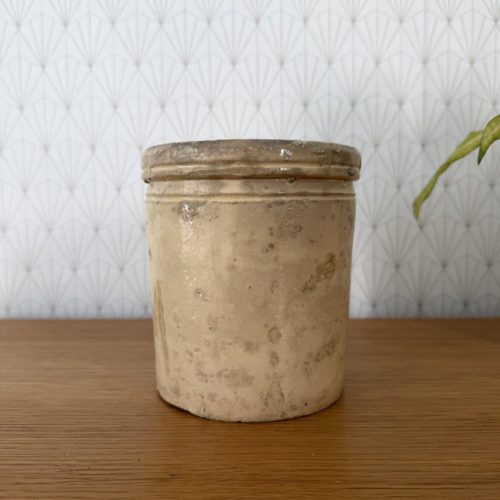 Antique Italian Stoneware Crock Sardine Pot Beige Glazed 01072610 Unbranded