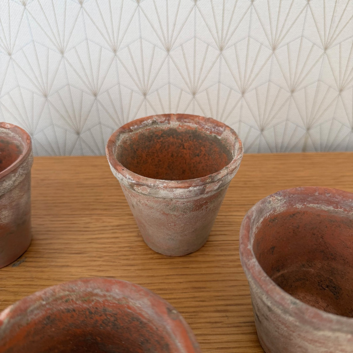 Vintage French Terracotta Plant Pots Set of 6 Small Planters 15092613 Fleamarketfrance