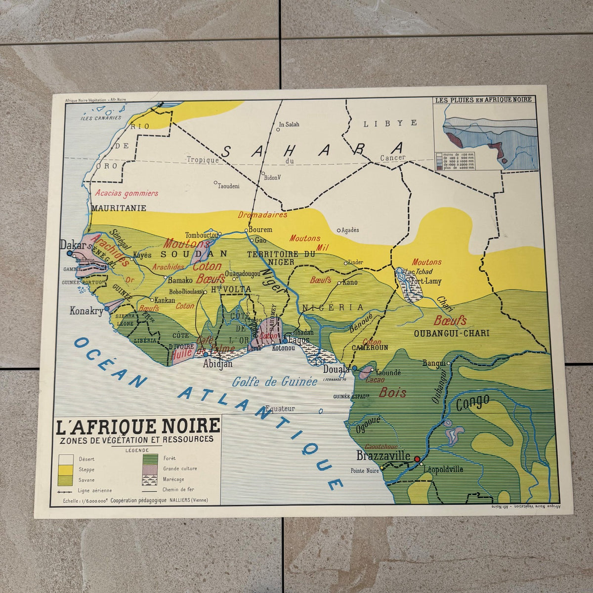 Vintage French Colonial Africa School Map Educational Poster 20082622 Fleamarketfrance