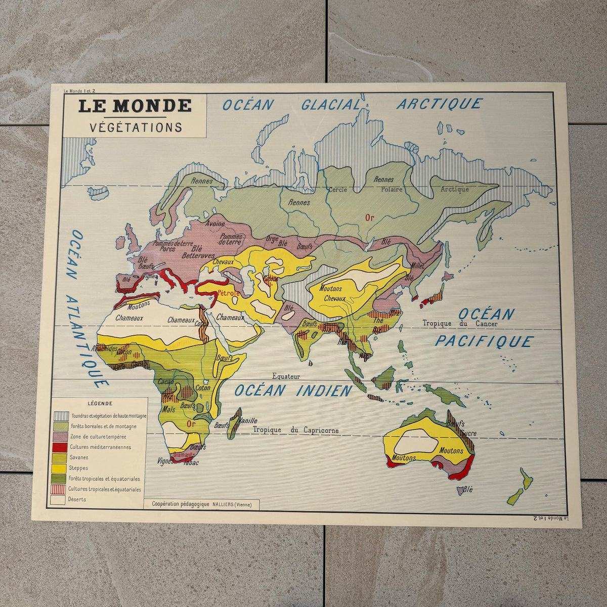 Vintage French Educational Vegetation Map Poster School 20082618 Fleamarketfrance