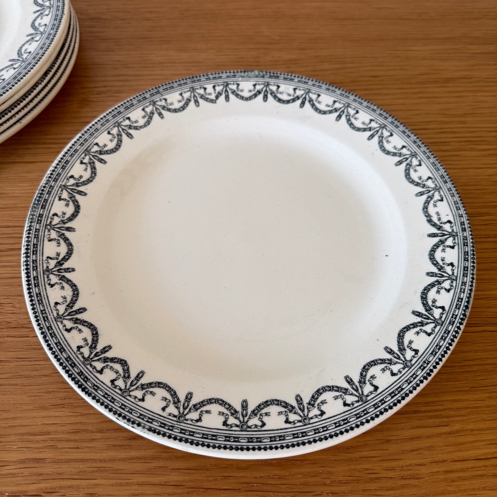 French Ironstone Plates Louis XVI Garland Salins 19th Century Set 0505254 salins
