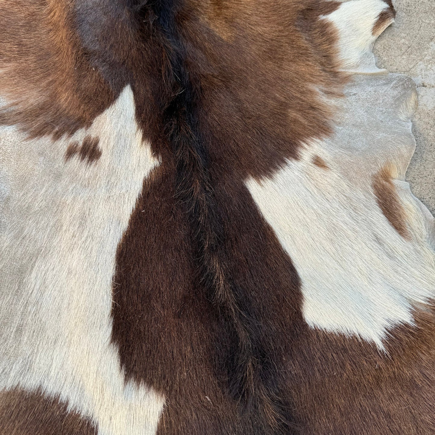 Vintage French Cowhide Rug Brown White Hair On Hide 41x21 0208248 Fleamarketfrance