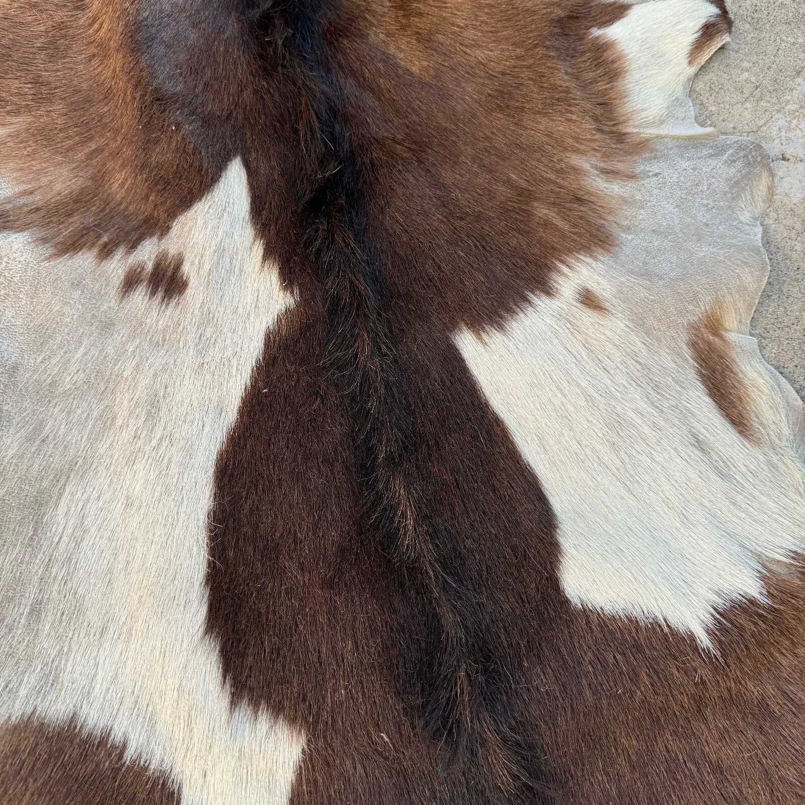 Vintage French Cowhide Rug Brown White Hair On Hide 41x21 0208248 Fleamarketfrance